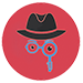 Private Investigators