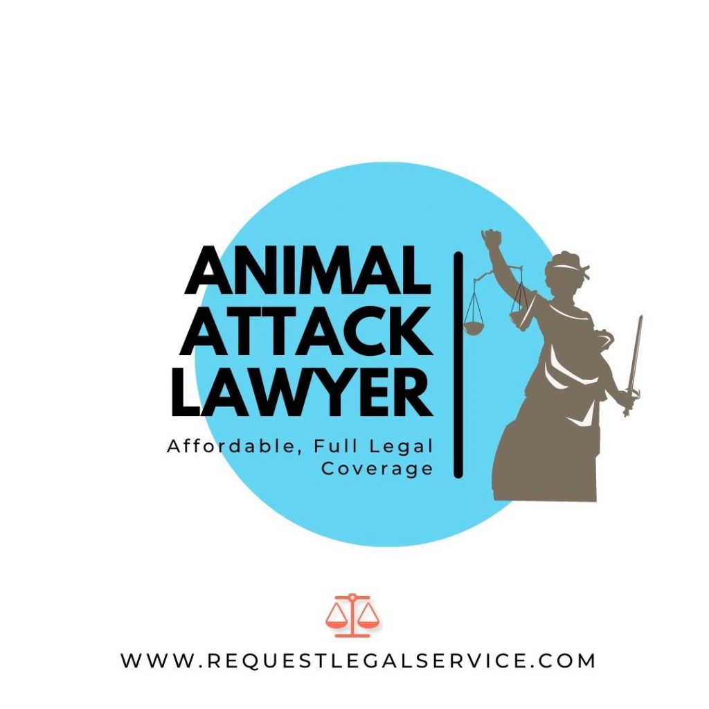Animal Attack Lawyer