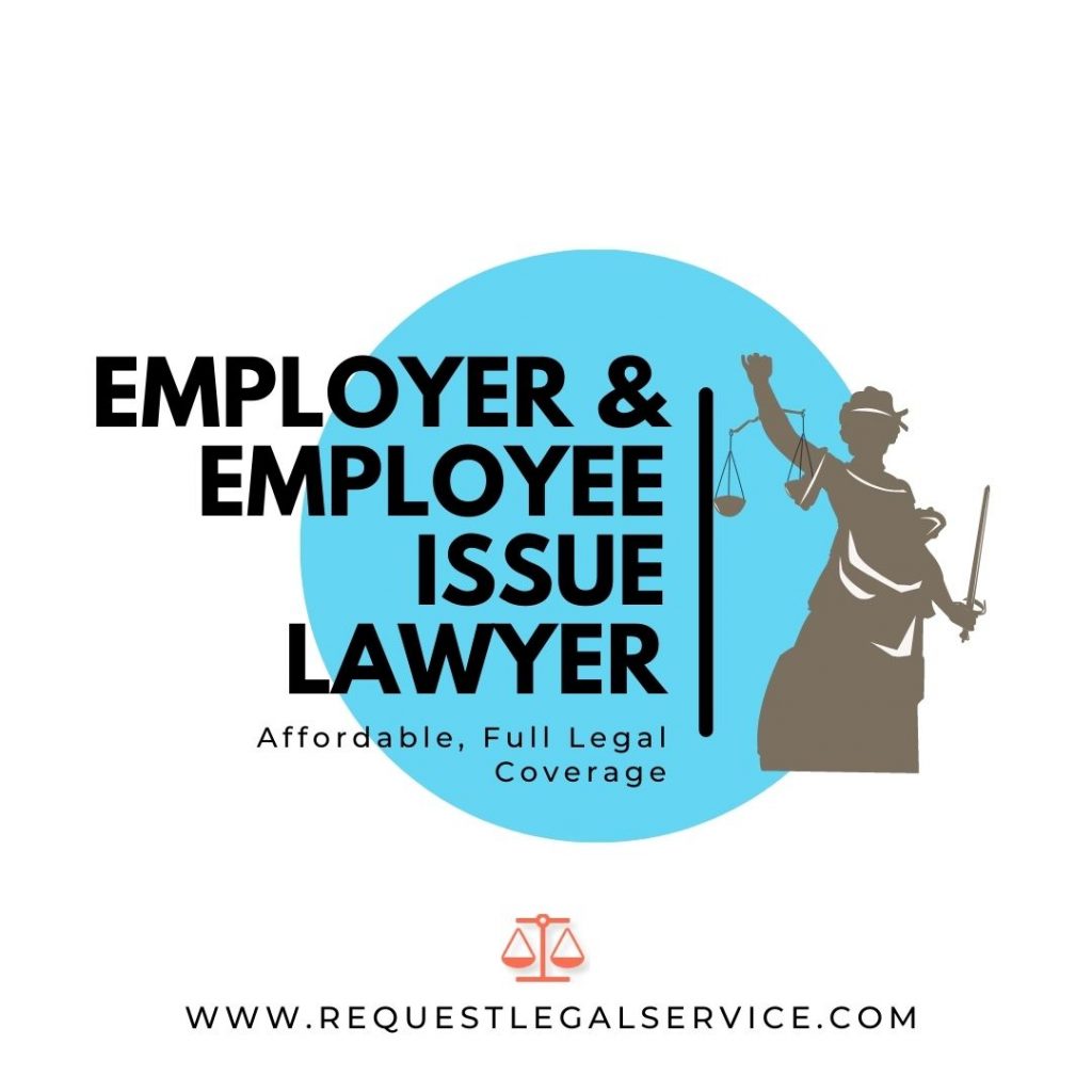 Employer/Employee Issue Lawyer