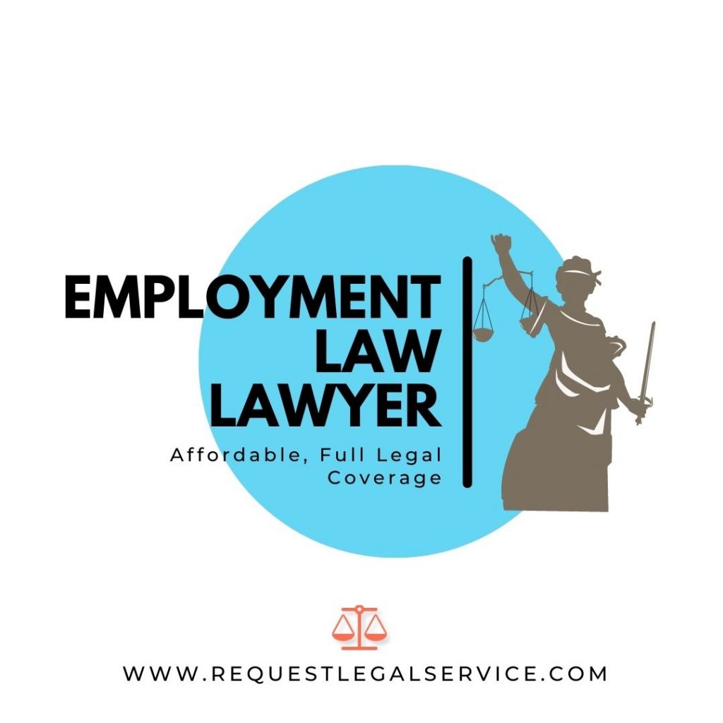 Employment Law Lawyer
