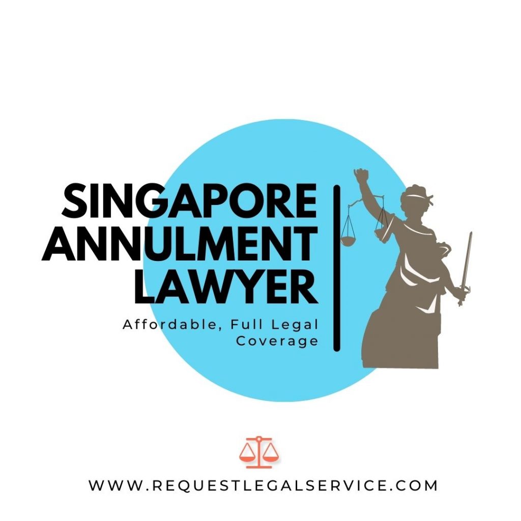 Singapore Annulment Lawyer